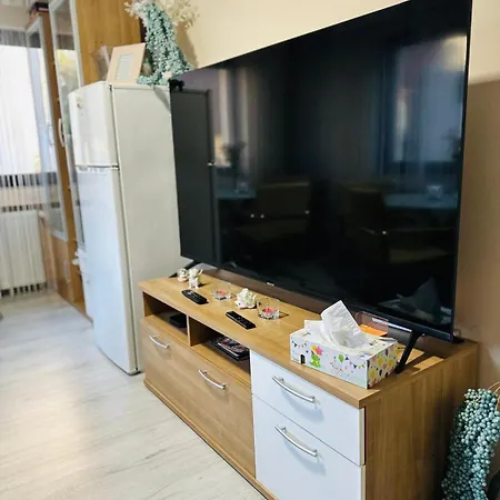 Carla Maria S Hause *