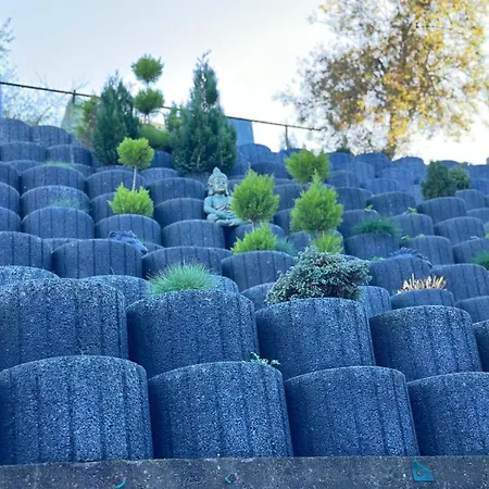 Carla Maria S Hause בית הארחה Gammertingen