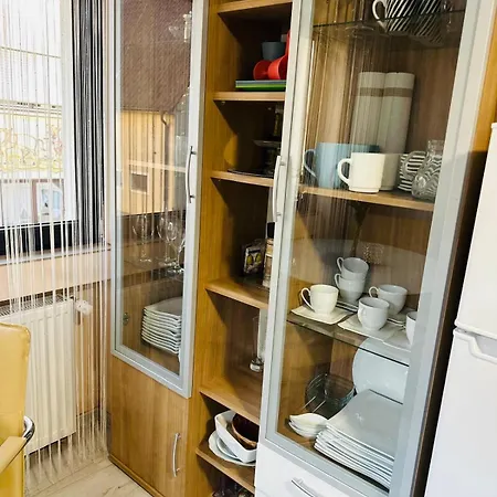 Carla Maria S Hause *