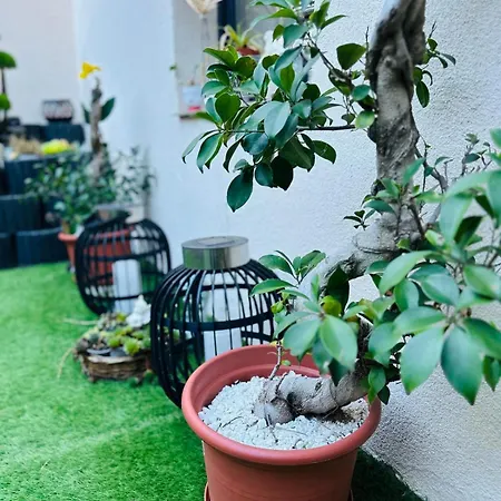 Carla Maria S Hause בית הארחה Gammertingen