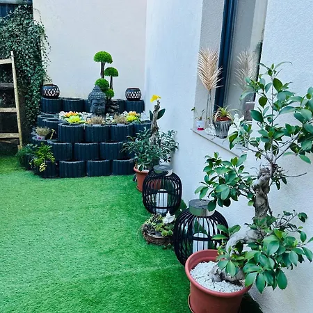 Pensjonat Carla Maria S Hause Gammertingen