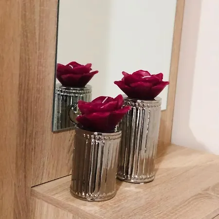 Carla Maria S Hause *