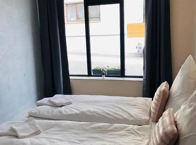 Carla Maria S Hause *