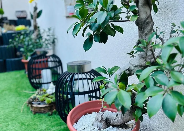 Carla Maria S Hause 게스트하우스 감메르팅엔