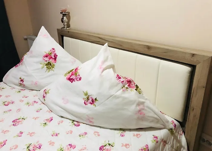 게스트하우스 Carla Maria S Hause