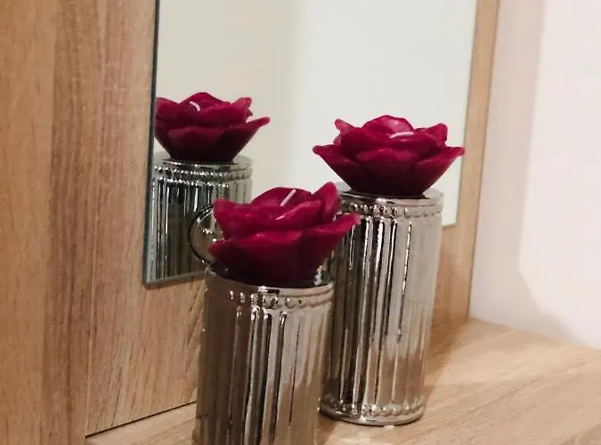 Carla Maria S Hause *